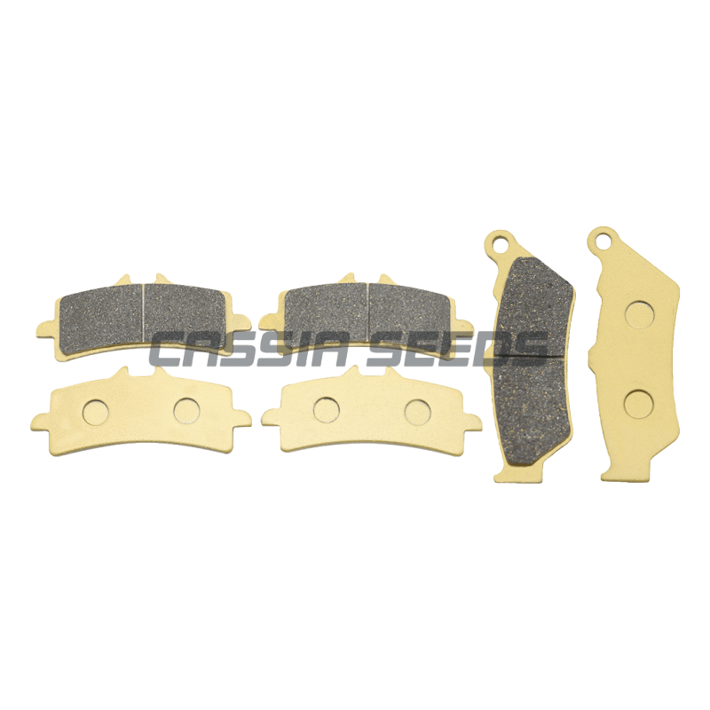 PRZEDNIE I TYLNE Klocki Hamulc – Carbon Ceramic Motorcycle Brake Rotor recenzja i cena